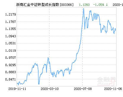 汇金和中证公司联合持股是会长还是跌