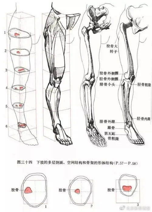 速写基础知识