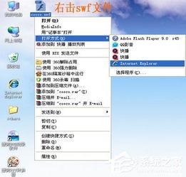 SWF文件用什么打开 打开SWF文件的方法和步骤 