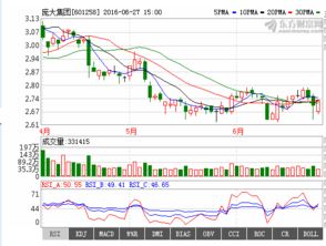 庞大集团股价怎么降下来的？