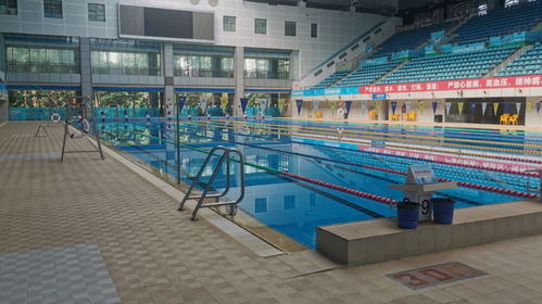 2020深圳宝安体育中心室内游泳馆入场注意事项 