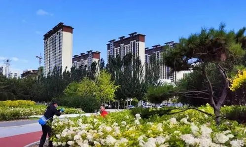 锦州地区8月新房价格排行榜