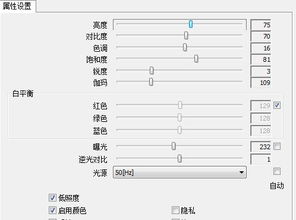 笔记本130万摄像头参数怎么设置拍出的照片效果最佳啊