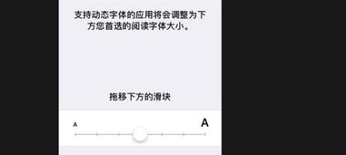 苹果手机怎么调节字体大小 