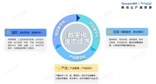 “开盲盒”“低价抢”……诱人App服务的背后是诈骗-开云kaiyun(图1)