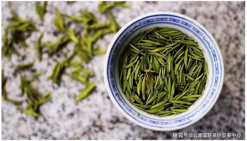 茶叶正当季 说说喝茶 挑茶 贮藏茶的门道