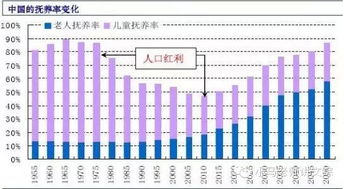 什么叫做人口红利？怎么理解人口红利跟经济的关系