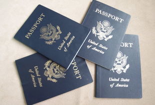 留学签证需要哪些材料,办理留学签证需要准备哪些材料？