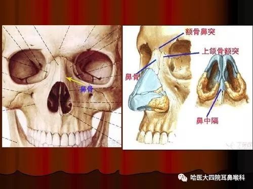 宝宝鼻子骨折图片 搜狗图片搜索