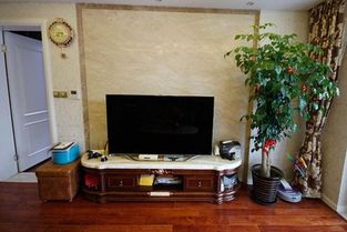 客厅电视柜两边摆放什么植物好 客厅电视柜两边可以摆放这些