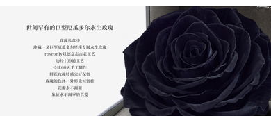 天蝎座男生喜欢什么礼物 送天蝎座男生什么礼物 天蝎座男生生日礼物 roseonly诺誓 