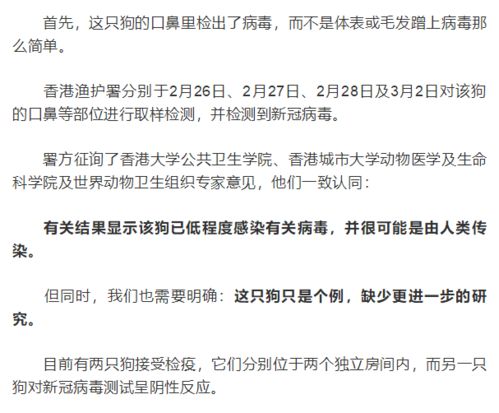 新冠传染别人多久时间有症状（如果得了新冠病毒传染给别人多久） 第1张