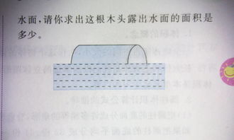 一根长1米横截面直径是40厘米的圆柱形木头浮在水面上小明发现它露出水面的部分正好是一半求出这根木头与水