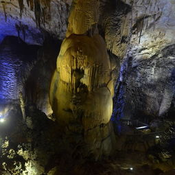 织金县城哪里有免费停车场,织金洞旅游交通停车收费观光车收费实用指南