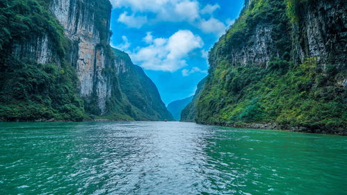 麻阳河国家级自然保护区主要保护对象,贵州省的麻阳河国家级自然保护