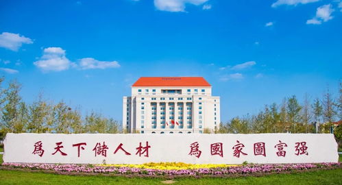 山东大学查重平台详解