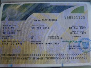 中国人去印尼需要签证吗 