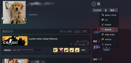 csgo怎么看战绩