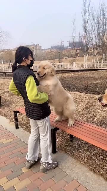 狗狗 为什么不抱我 