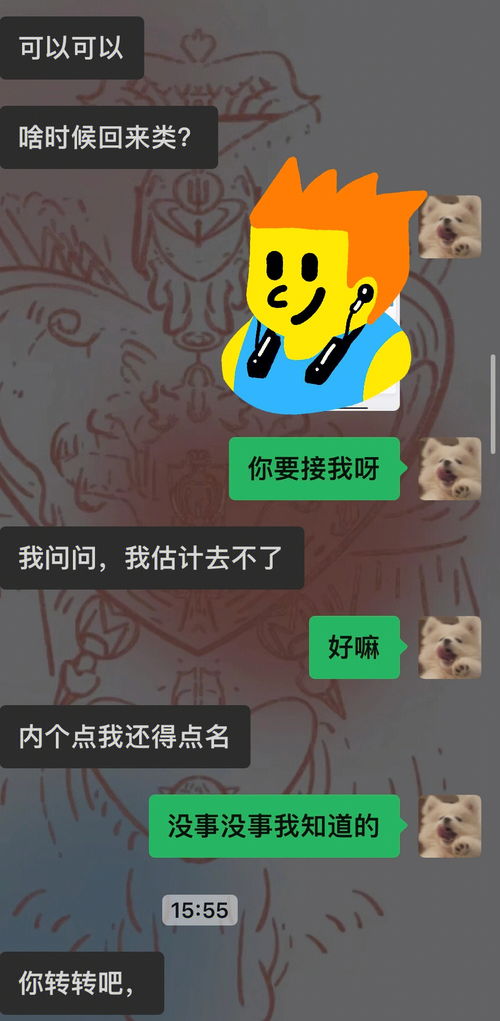 收下双子男这份敷衍的关心 