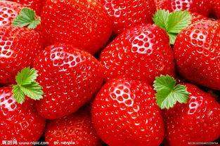 种草莓是什么意思 