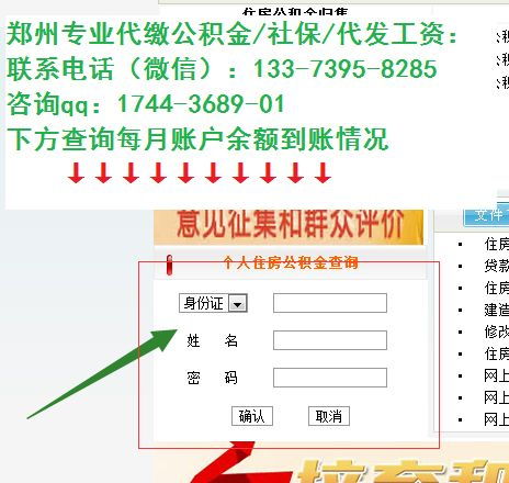 郑州专业做网站的公司,有域名空间的那种