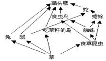 5.下述内容为叶绿体和线粒体所共有的是