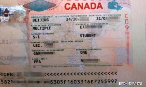 加拿大大签 学习许可 如何在国内续签