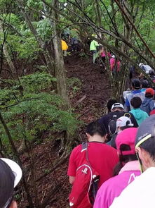 富士山下经典壁纸桌面 信息阅读欣赏 信息村 K0w0m Com