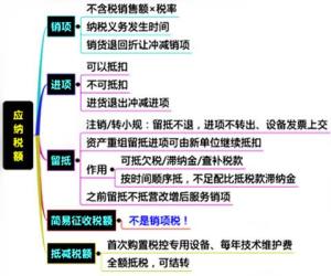 有限公司的话 一般最低纳税额是多少？