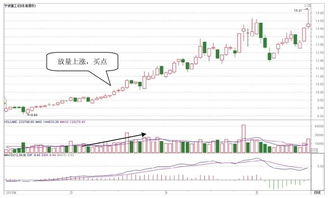 如何准确把握个股市是否持续上涨行情