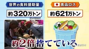 连日本人都会弄混 赏味期限 与 消费期限 ,日本每年白白扔掉几百万吨食物 