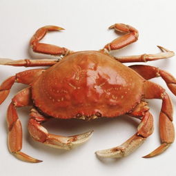 哺乳期可以吃螃蟹吗(哺乳期能吃螃蟹吗)