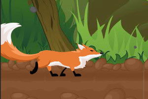 奔跑的狐狸