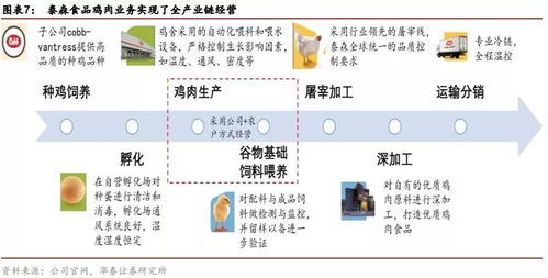 企业除并购战略外，还可以选择其他哪些方式进行扩张