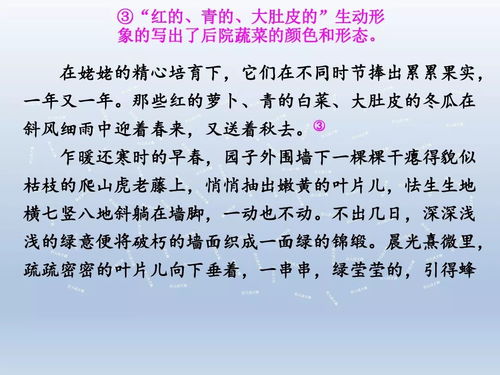 小说桥的词语解释—六年级的桥是什么体裁？