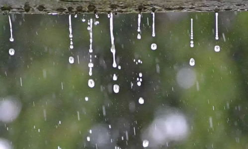 注意 新一轮持续性强降雨袭黔,多地拉响气象灾害预警 