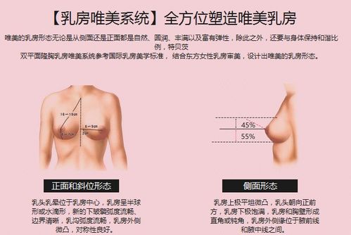 女白领为何都爱假体隆胸 