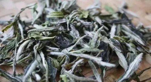 茶知道 明明白白告诉你 如何辨识春茶 夏茶和秋茶