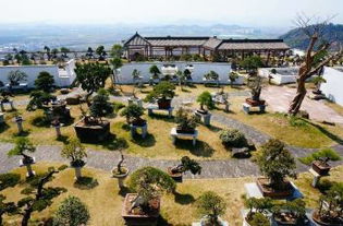 宁波绿野山居景区交通路线,怎么去绿野山居景区,绿野山居景区在哪里 怎么坐车 