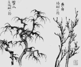 中国画水墨画如何画松树 丛树,竹,树的画法大全 