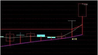 股票的这个部分表示什么？