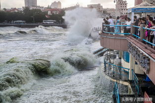 台风 摩羯 已过余威仍在 青岛海边巨浪冲向行人游客冒险拍照 
