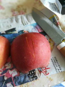 苹果柑桔摆盘的做法 苹果柑桔摆盘怎么做 凤记美食的菜谱 