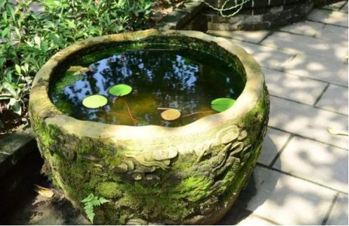古代的大户人家,为何都要在院子里放一口水缸 可不仅是调理风水