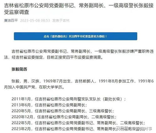 公安干部业绩简述范文格式  地级市公安局长是正处级别吗？