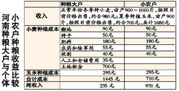 日本米价是中国10倍多 专家建议结束低粮价时代 