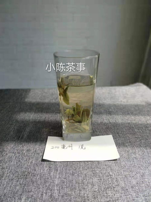 用玻璃杯泡白茶,为何总是味道浓苦 一次该投多少克白茶