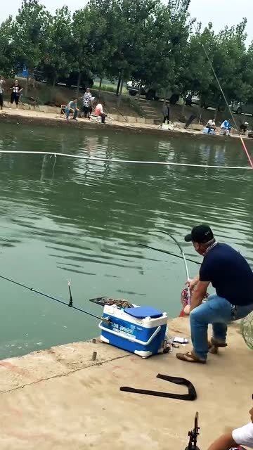 高手垂钓一般都有不一样的钓鱼技巧 