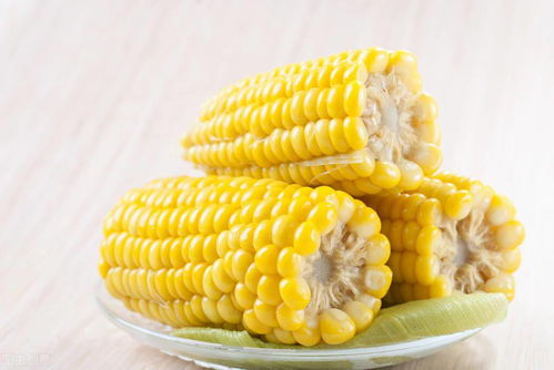 煮玉米时要不要放盐 水里撒一把它,玉米又香又甜,还软糯可口